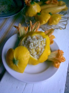 risotto with courgette and flowers in patty pan